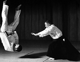 Aikido: η Τέχνη του Κι